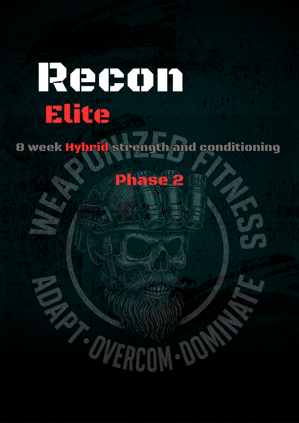 Hybrid Raider fitness program – Tactical strength and endurance training plan for military & first responders

